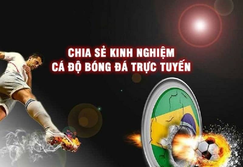 Phân Tích Trước Khi Đặt Cược