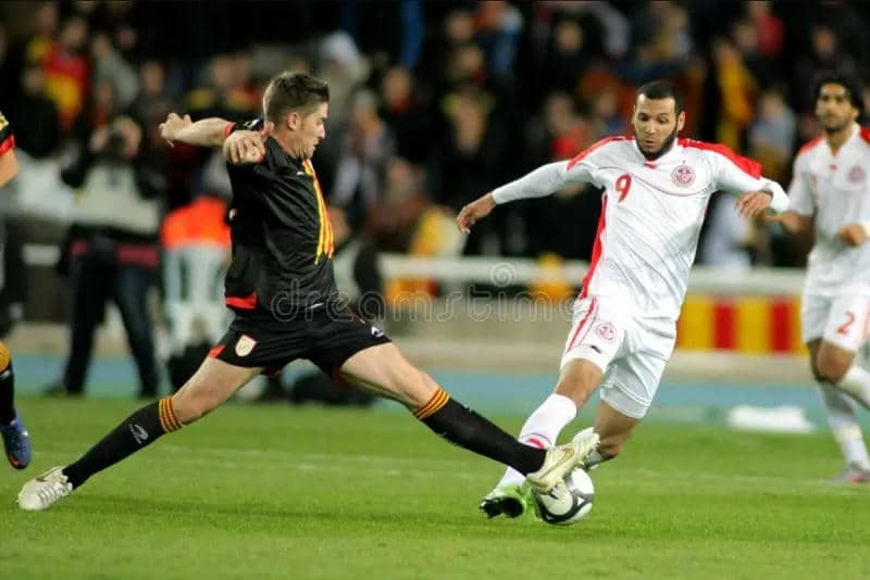 Mùa giải 2008–2009: Trở lại và vô địch Swiss Super League