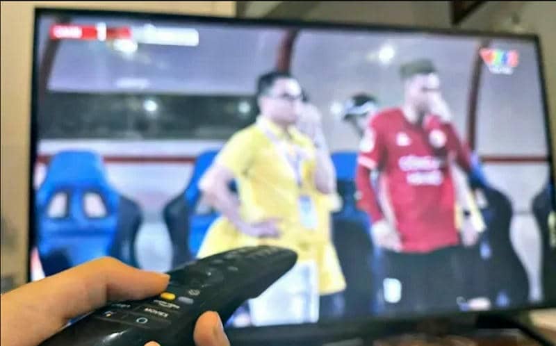 VTV (Đài Truyền hình Việt Nam)